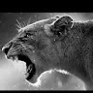 Meet your Posher, Garrett